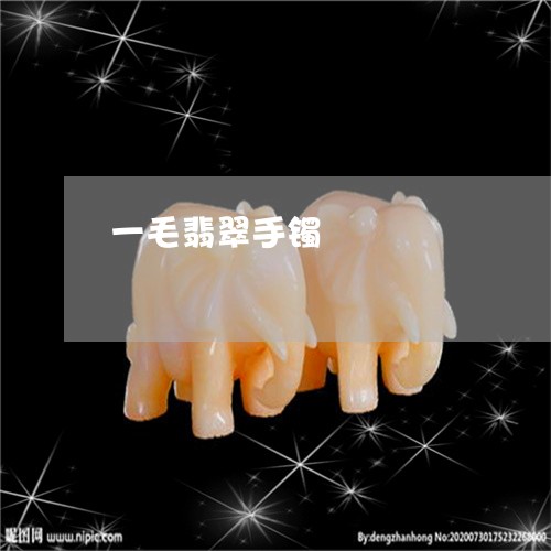 一毛翡翠手镯/2023032040582