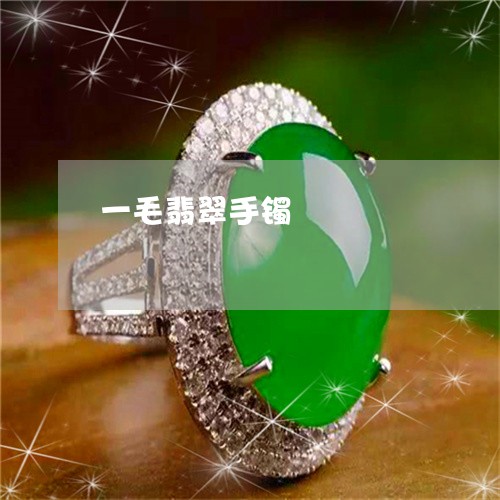 一毛翡翠手镯/2023032084139