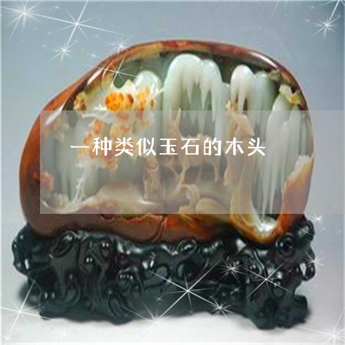 一种类似玉石的木头/2023060293696