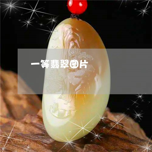 一等翡翠图片/2023032054048 一等翡翠图片/2023032054048