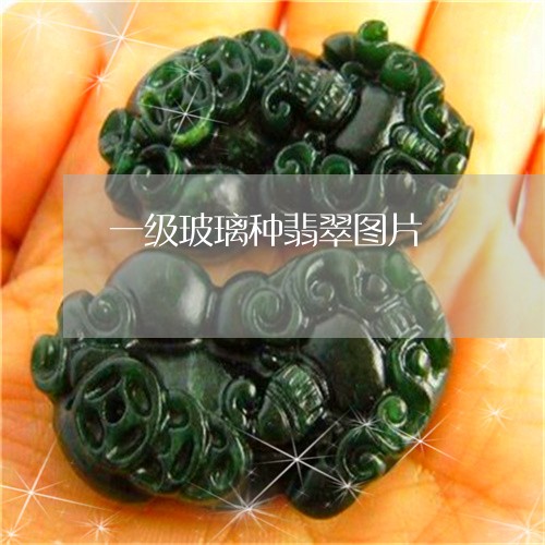 一级玻璃种翡翠图片/2023060203705