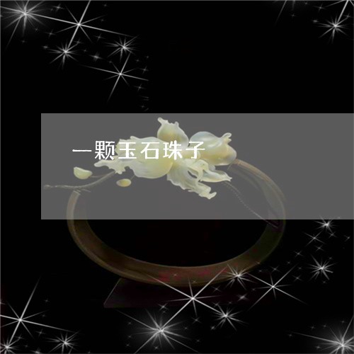 一颗玉石珠子/2023032051404 一颗玉石珠子/2023032051404