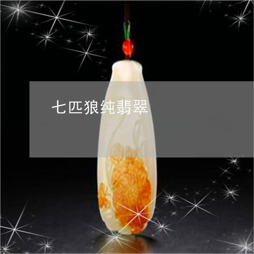 七匹狼纯翡翠/2023032052895 七匹狼纯翡翠/2023032052895