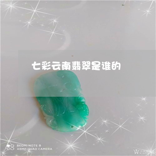 七彩云南翡翠是谁的/2023060294927