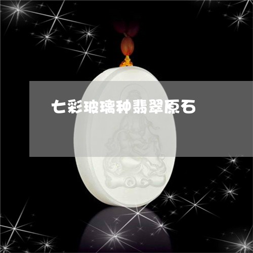 七彩玻璃种翡翠原石/2023060284706