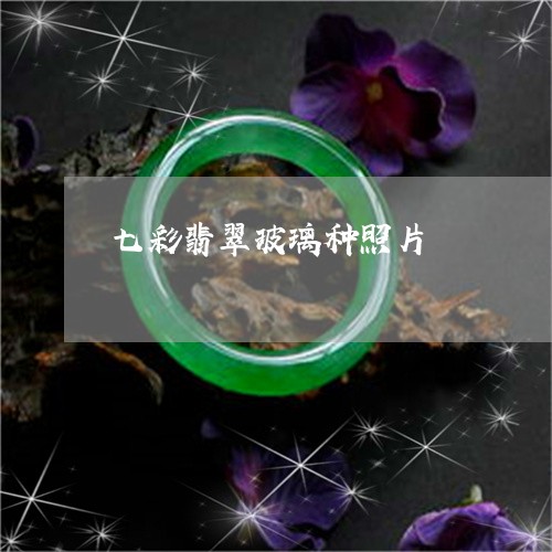 七彩翡翠玻璃种照片/2023060205834