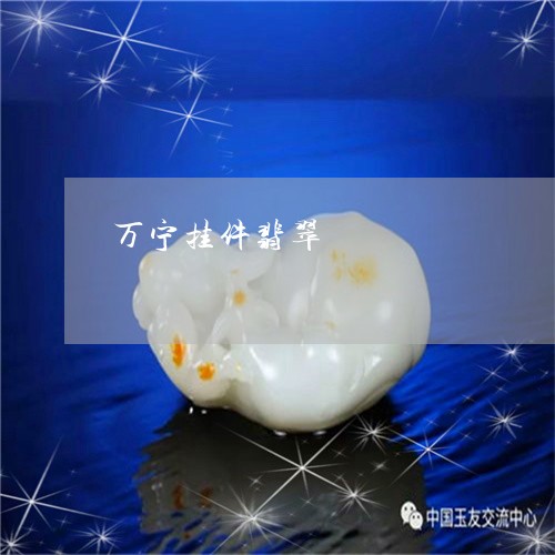 万宁挂件翡翠/2023032138259 万宁挂件翡翠/2023032138259