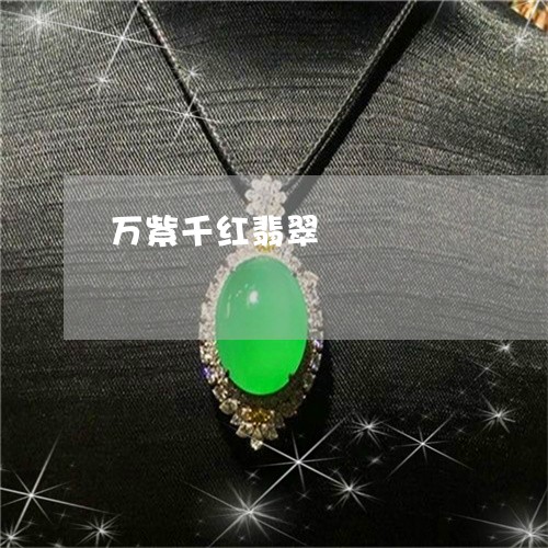 万紫千红翡翠/2023032052491