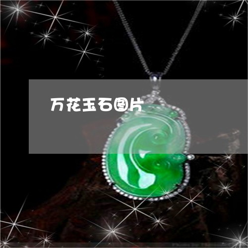 万花玉石图片/2023032028051 万花玉石图片/2023032028051