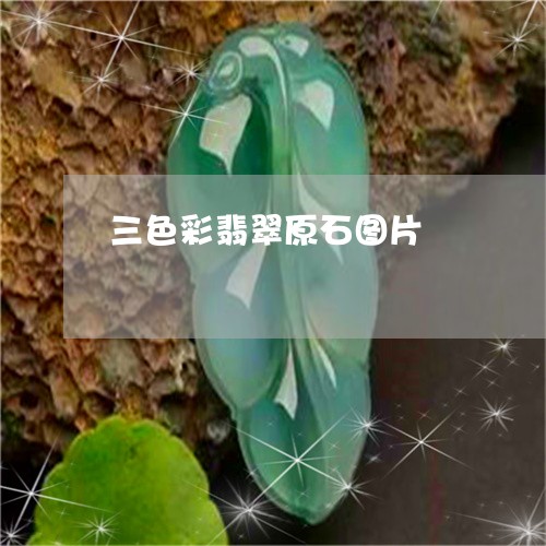 三色彩翡翠原石图片/2023060205948