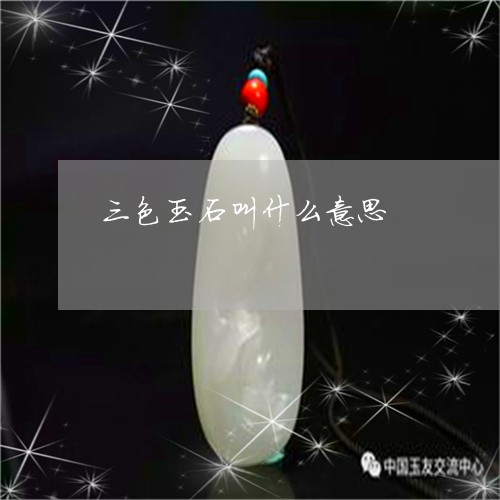 三色玉石叫什么意思/2023060226958