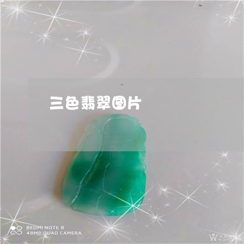 三色翡翠图片/2023032015947