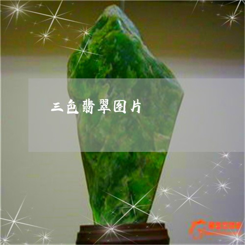 三色翡翠图片/2023032059460