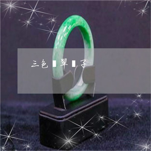 三色翡翠镯子/2023032127271 三色翡翠镯子/2023032127271