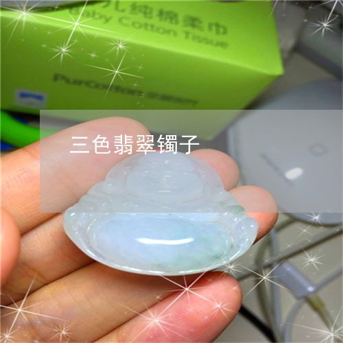 三色翡翠镯子/2023032147381 三色翡翠镯子/2023032147381