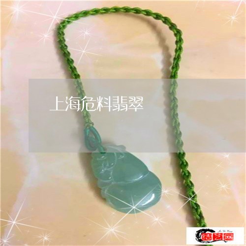 上海危料翡翠/2023032049502