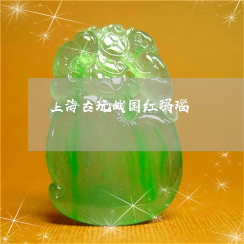 上海古玩战国红玛瑙/2023060227261