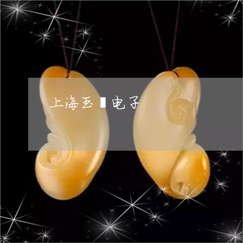 上海玉镯电子/2023032028482 上海玉镯电子/2023032028482