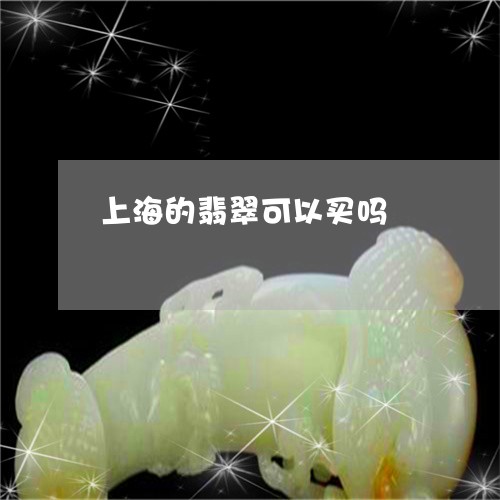 上海的翡翠可以买吗/2023060205827
