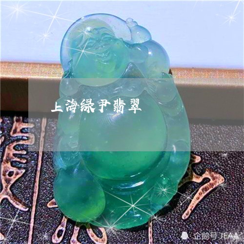 上海绿尹翡翠/2023032007127 上海绿尹翡翠/2023032007127