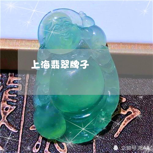 上海翡翠牌子/2023032016938 上海翡翠牌子/2023032016938