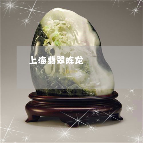 上海翡翠陈龙/2023032017137 上海翡翠陈龙/2023032017137