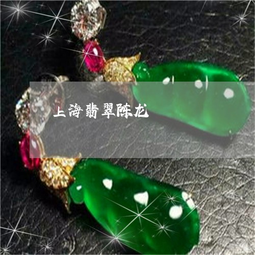 上海翡翠陈龙/2023032083928 上海翡翠陈龙/2023032083928
