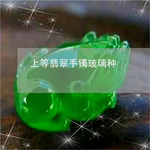 上等翡翠手镯玻璃种/2023060263726