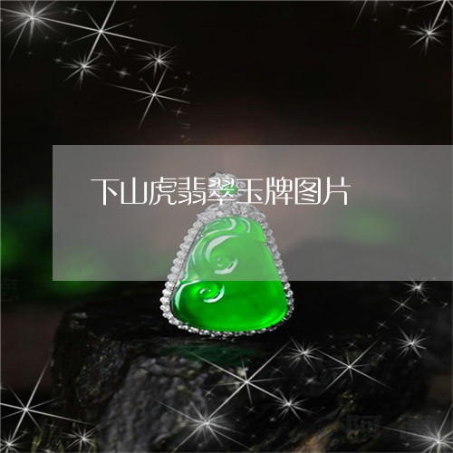下山虎翡翠玉牌图片/2023060251692