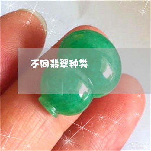 不同翡翠种类/2023032171381