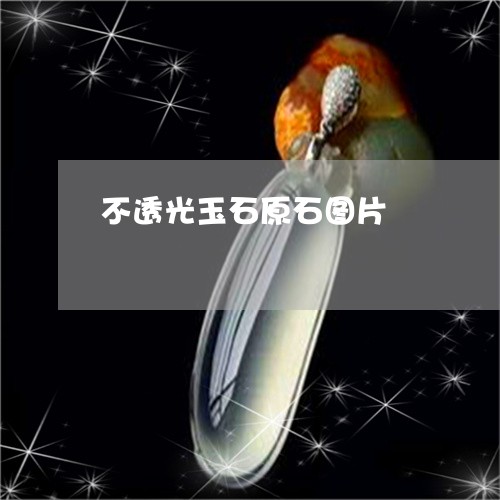 不透光玉石原石图片/2023060217159