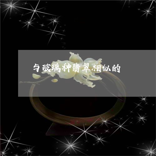 与玻璃种翡翠相似的/2023060262692