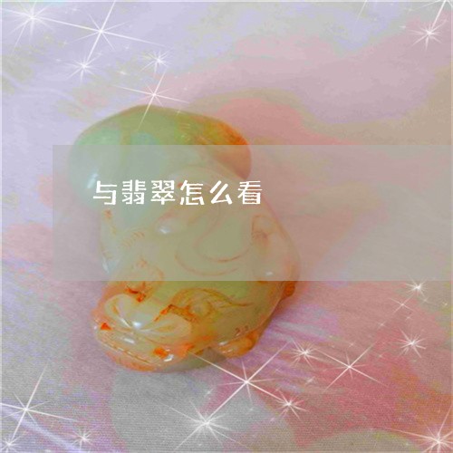 与翡翠怎么看/2023032050493 与翡翠怎么看/2023032050493