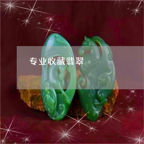 专业收藏翡翠/2023032071393 专业收藏翡翠/2023032071393