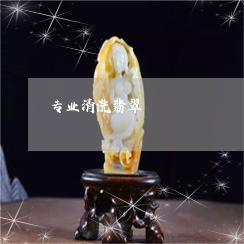 专业清洗翡翠/2023032081601 专业清洗翡翠/2023032081601