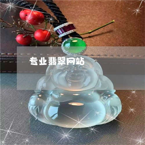 专业翡翠网站/2023032049393