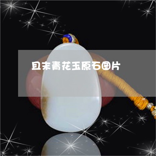 且末青花玉原石图片/2023060292714