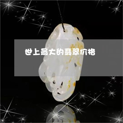 世上最大的翡翠价格/2023060262592