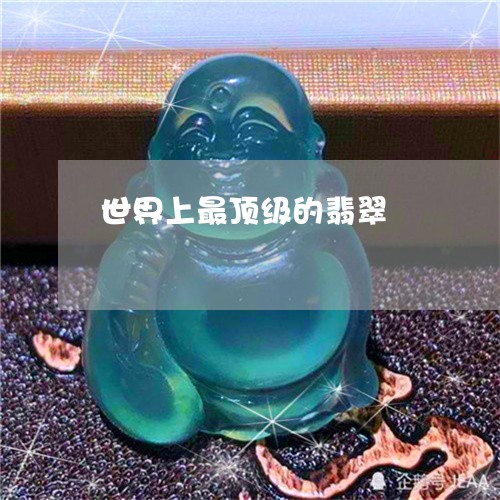 世界上最顶级的翡翠/2023060205148 世界上最顶级的翡翠/2023060205148