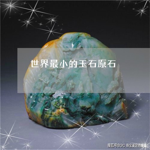 世界最小的玉石原石/2023060235047