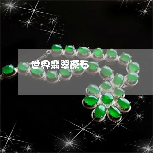 世界翡翠原石/2023032118360 世界翡翠原石/2023032118360