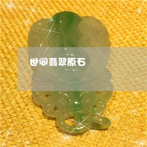 世间翡翠原石/2023032028480 世间翡翠原石/2023032028480