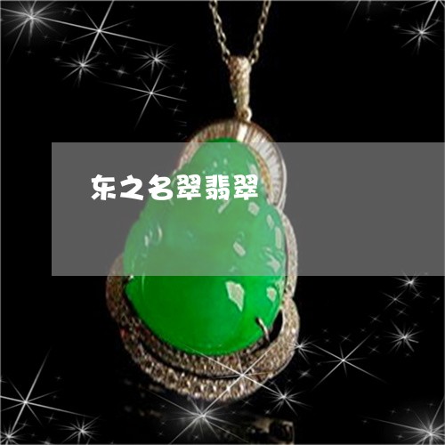 东之名翠翡翠/2023032032825 东之名翠翡翠/2023032032825
