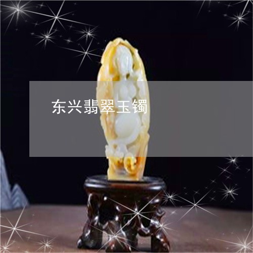 东兴翡翠玉镯/2023032041635 东兴翡翠玉镯/2023032041635