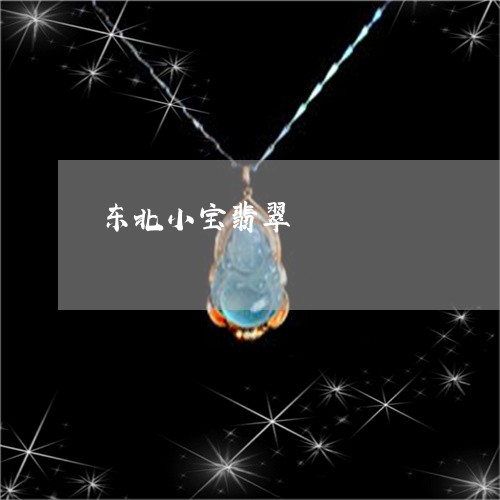 东北小宝翡翠/2023032039263