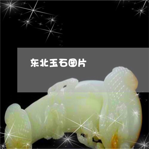 东北玉石图片/2023032038149 东北玉石图片/2023032038149