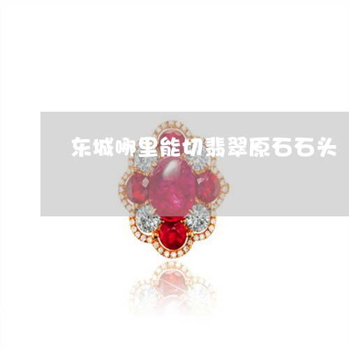 东城哪里能切翡翠原石石头/2023061981715