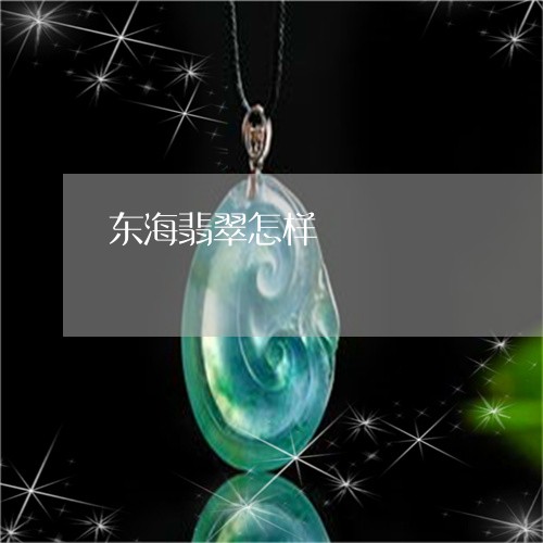 东海翡翠怎样/2023032069371
