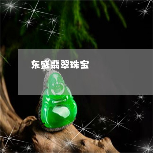 东盛翡翠珠宝/2023032048379 东盛翡翠珠宝/2023032048379
