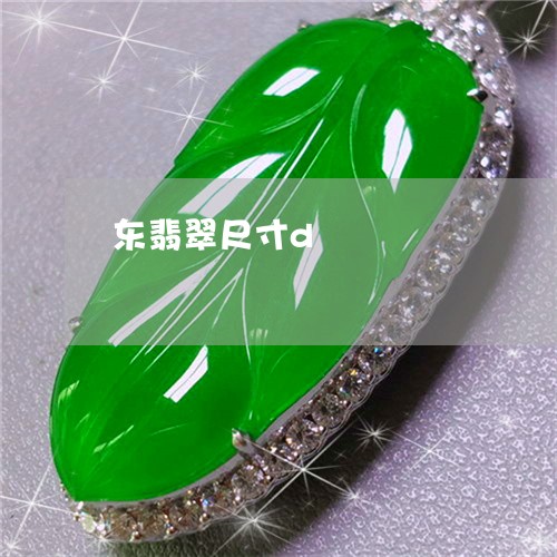 东翡翠尺寸d/2023032104016 东翡翠尺寸d/2023032104016